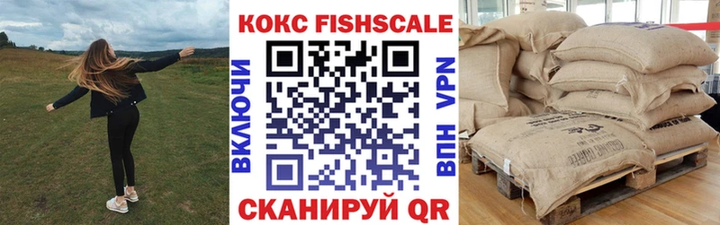 COCAIN Fish Scale  как найти наркотики  Кондопога 