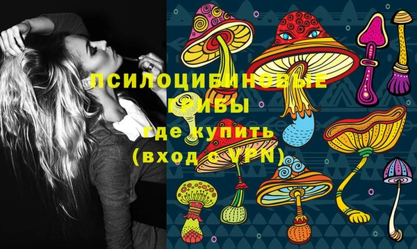МДПВ Алзамай