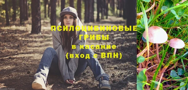 синтетический гашиш Алексеевка