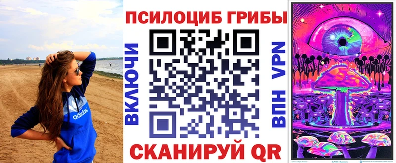 Галлюциногенные грибы Psilocybe Кондопога